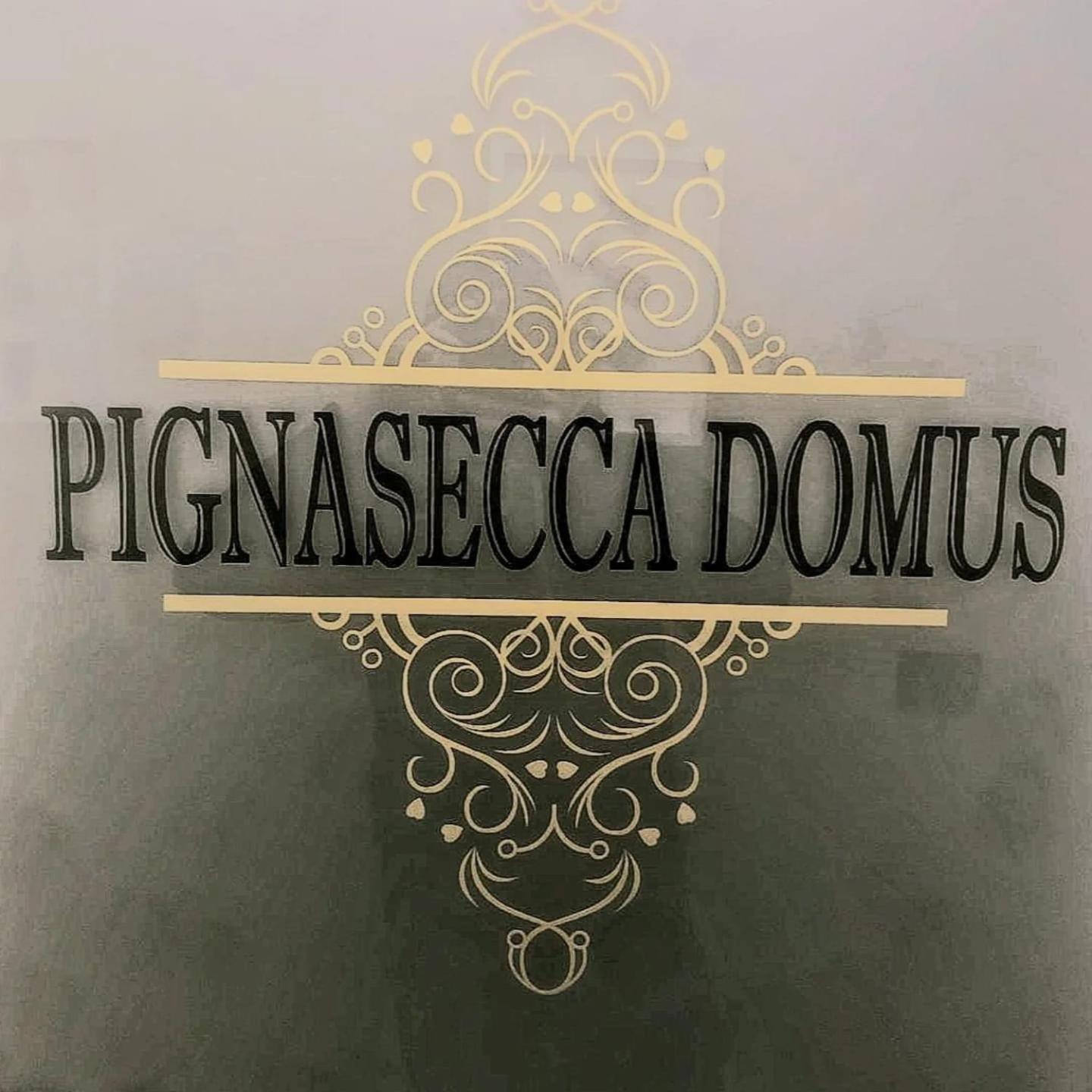 فندق Pignasecca Domus نابولي المظهر الخارجي الصورة